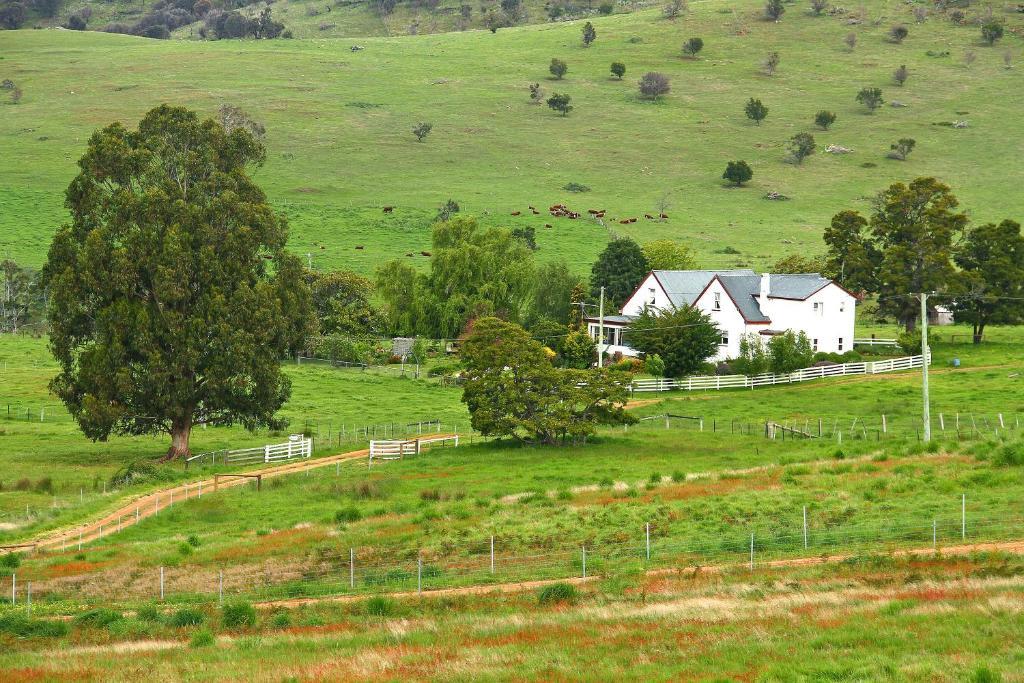 Roslyn House Bed & Breakfast Bushy Park Εξωτερικό φωτογραφία
