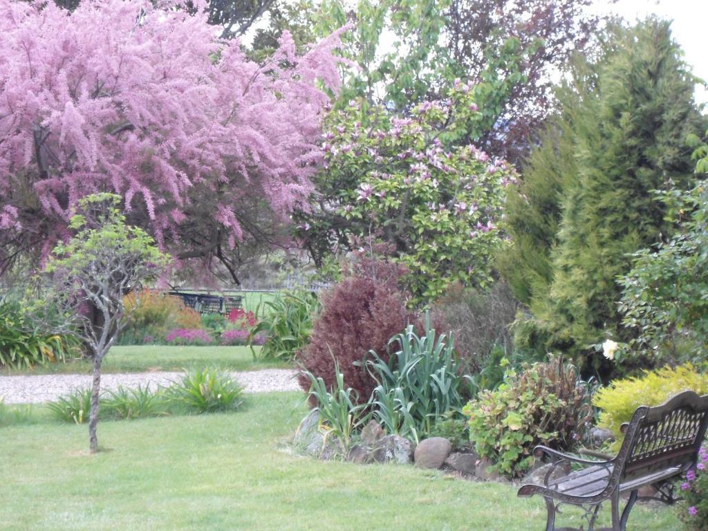 Roslyn House Bed & Breakfast Bushy Park Εξωτερικό φωτογραφία