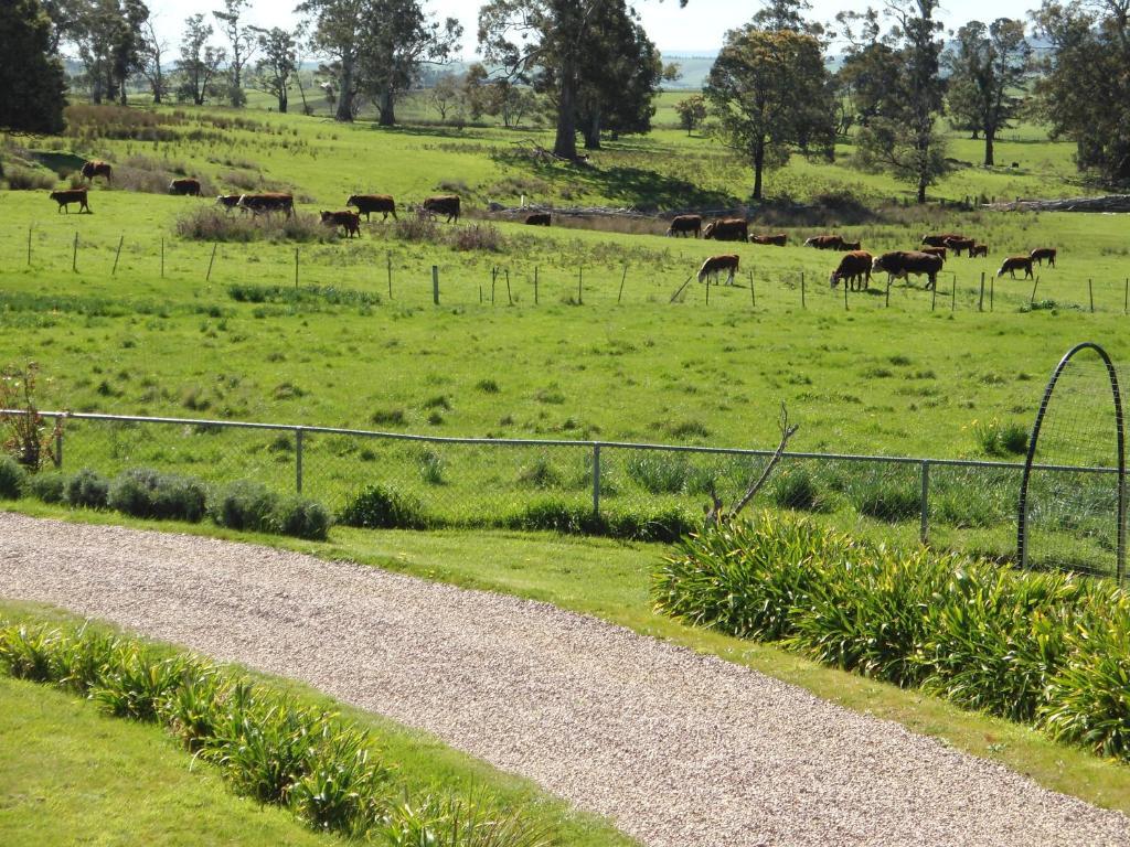 Roslyn House Bed & Breakfast Bushy Park Εξωτερικό φωτογραφία