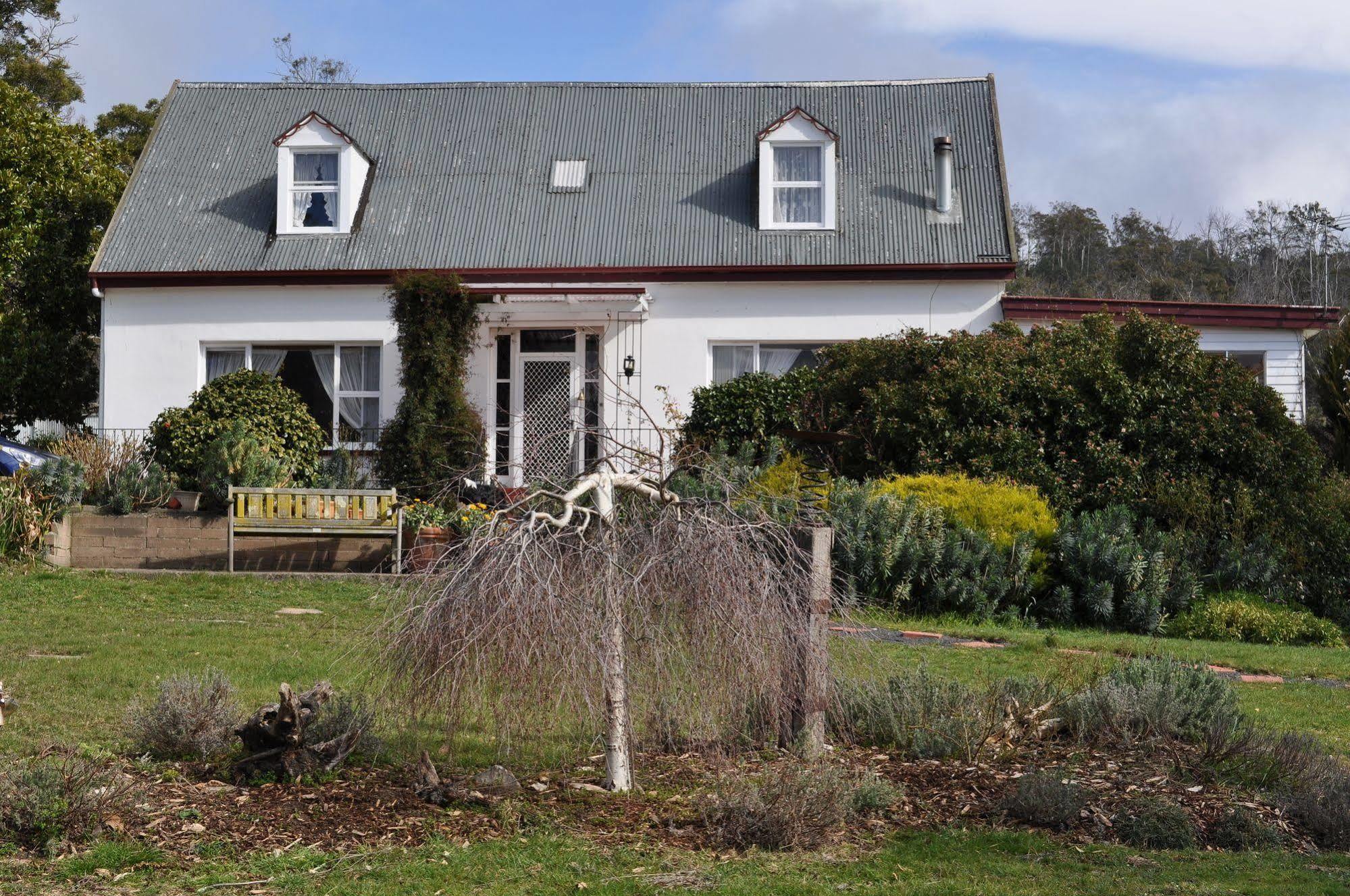 Roslyn House Bed & Breakfast Bushy Park Εξωτερικό φωτογραφία