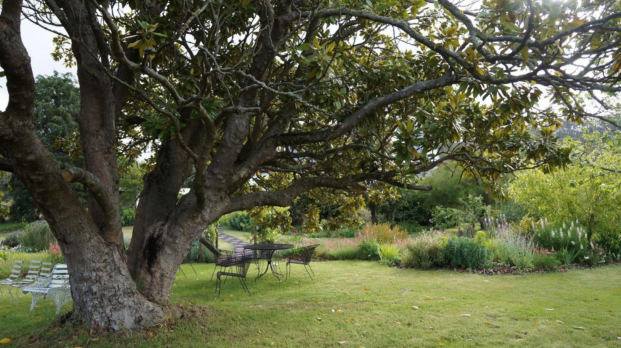 Roslyn House Bed & Breakfast Bushy Park Εξωτερικό φωτογραφία