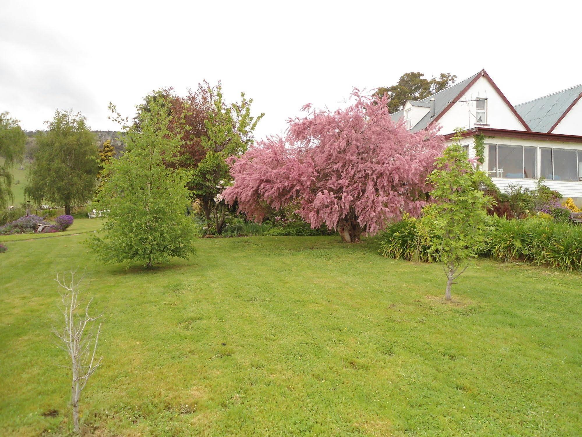 Roslyn House Bed & Breakfast Bushy Park Εξωτερικό φωτογραφία