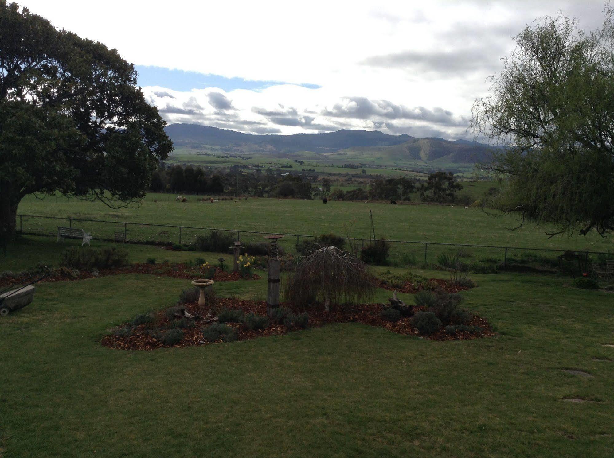 Roslyn House Bed & Breakfast Bushy Park Εξωτερικό φωτογραφία