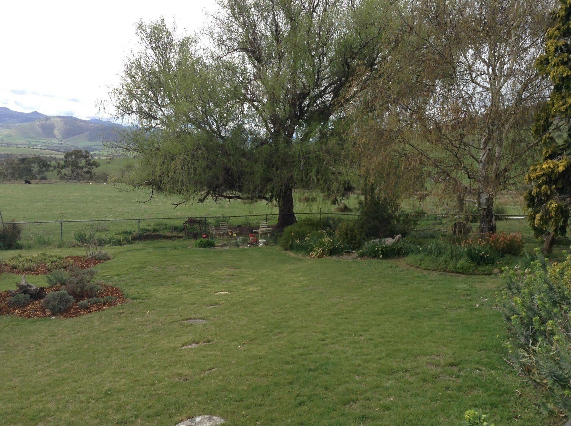Roslyn House Bed & Breakfast Bushy Park Εξωτερικό φωτογραφία